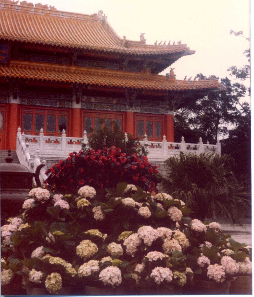 img 1980 Hong Kong Lantau Island Po Lin Monastry 505